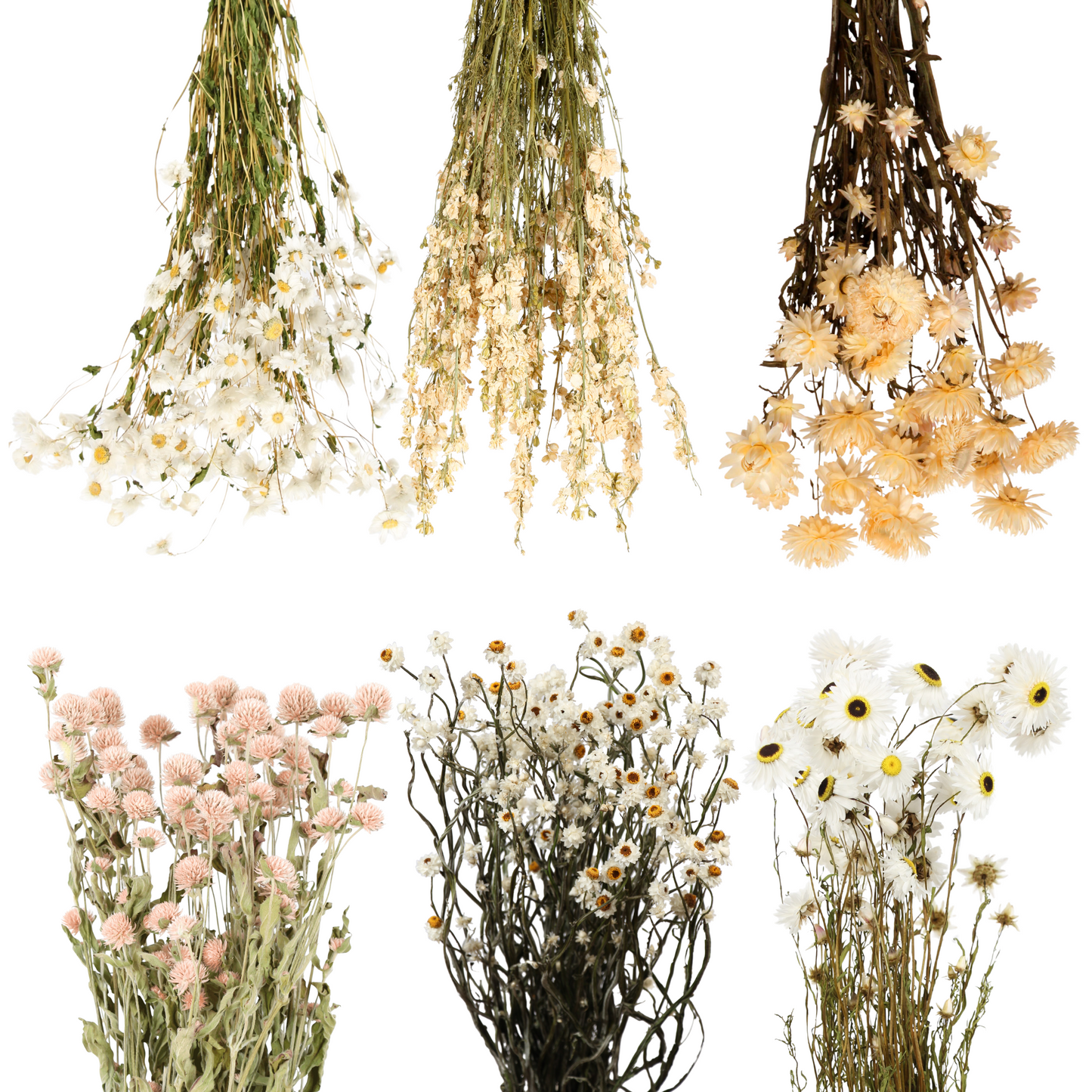 field flower mixed case - white