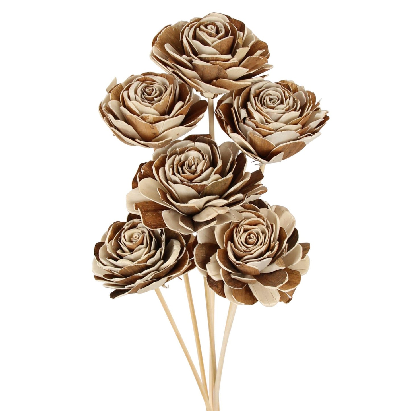 sola skin beauty rose - 10cm - natural