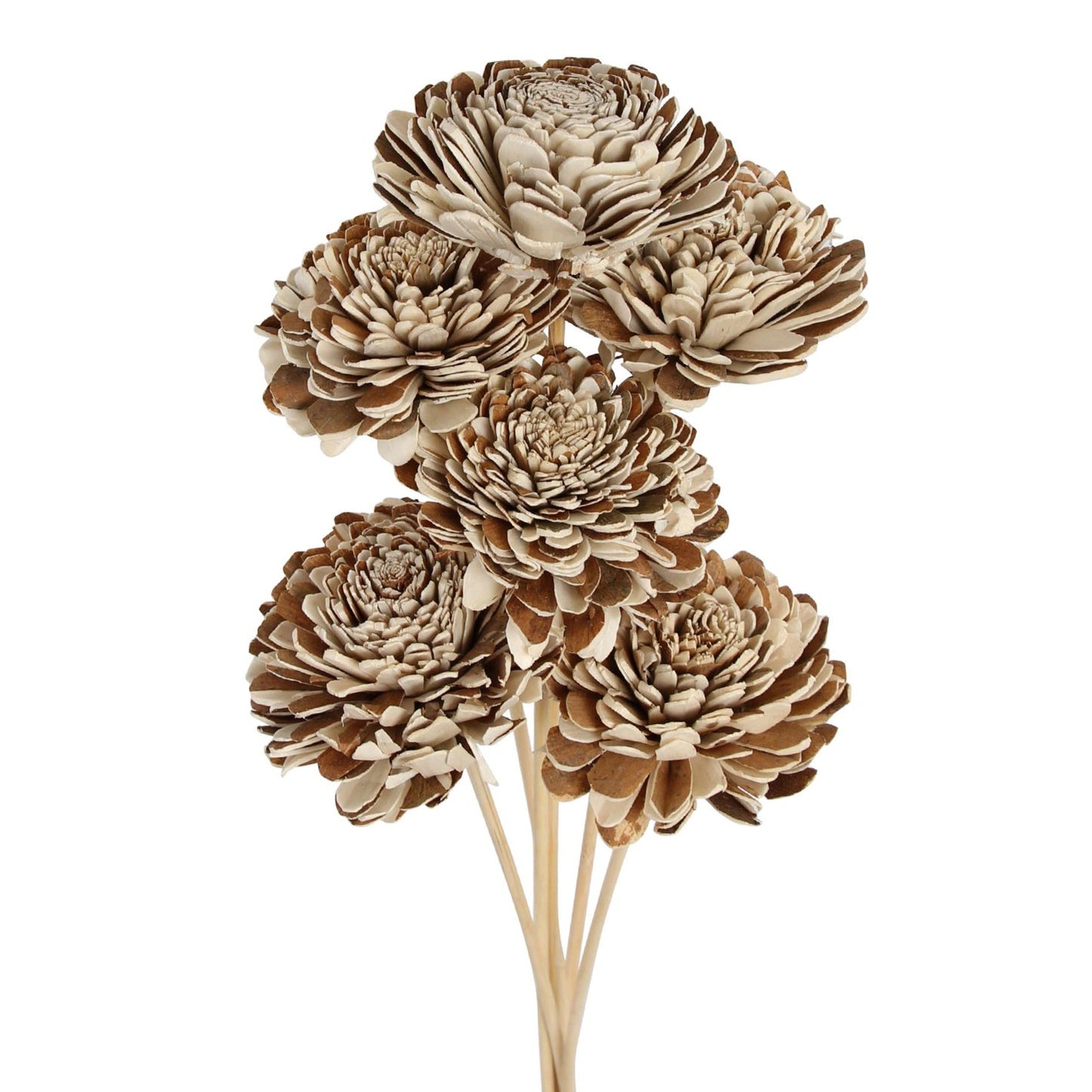 sola skin beli flower - 10cm - natural