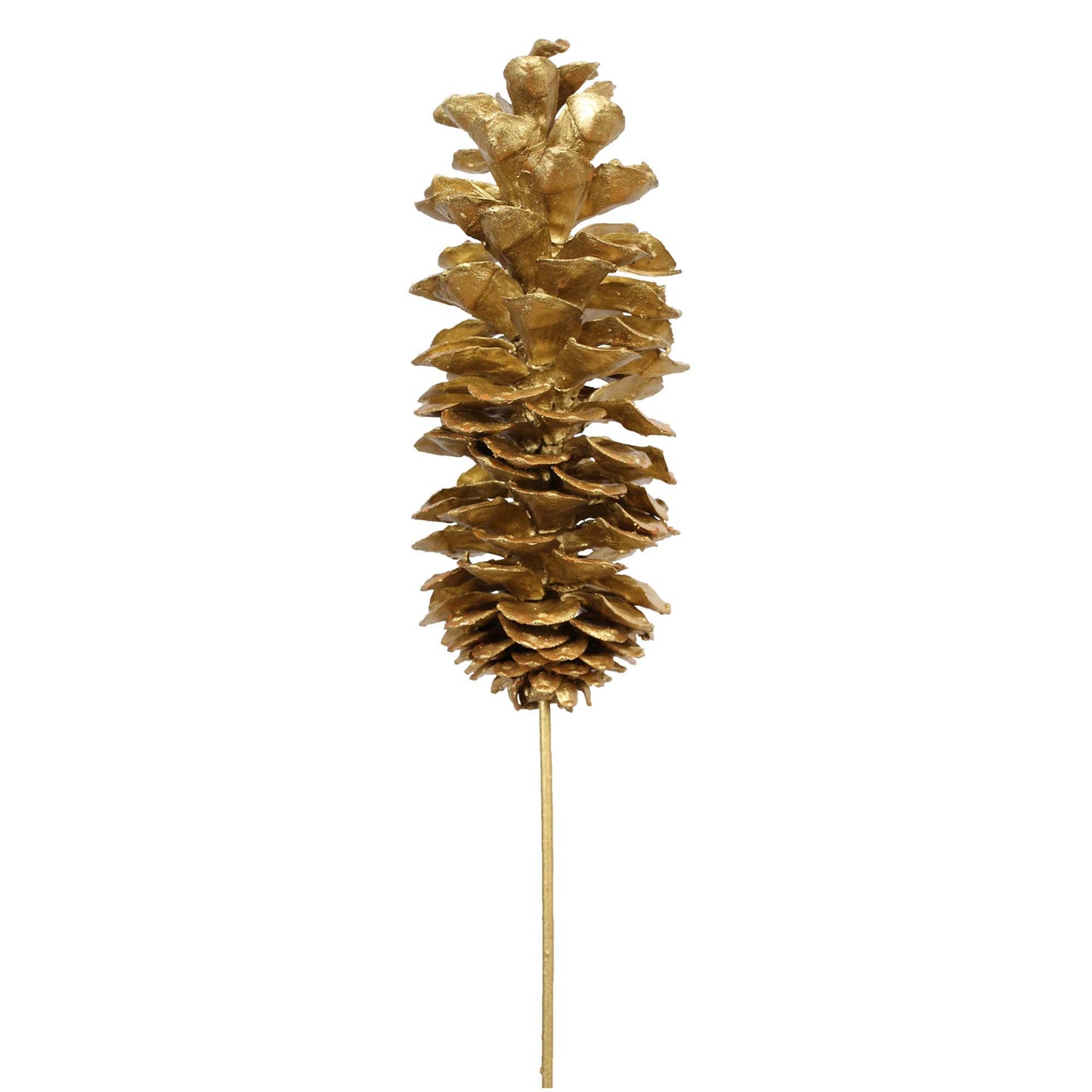 sugar pine cones - 1 stem - gold metallic