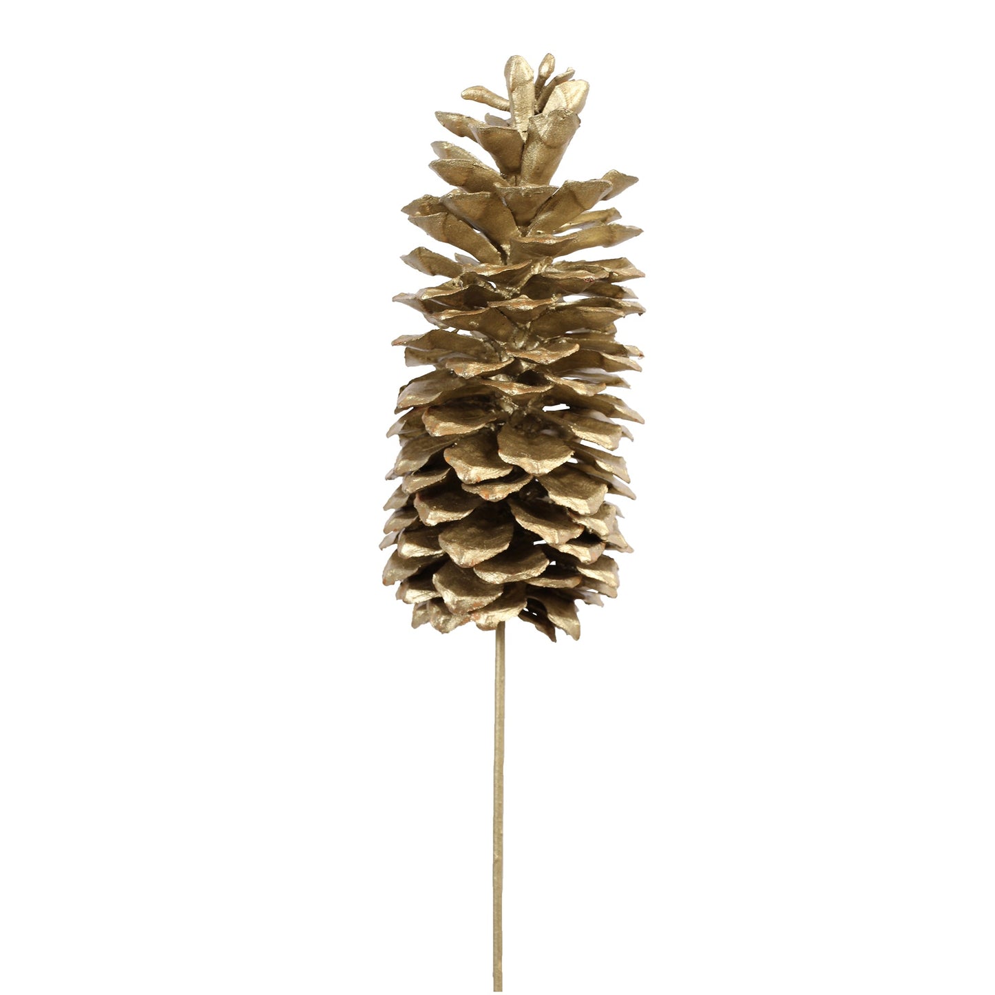 sugar pine cones - champagne metallic - bulk - 30/case
