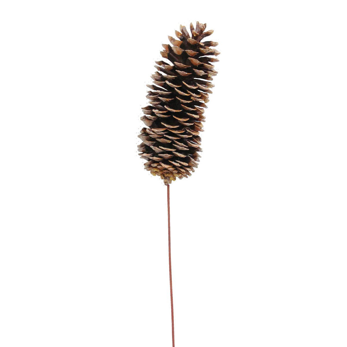 sugar pine cones - frosted glitter - bulk - 30/case