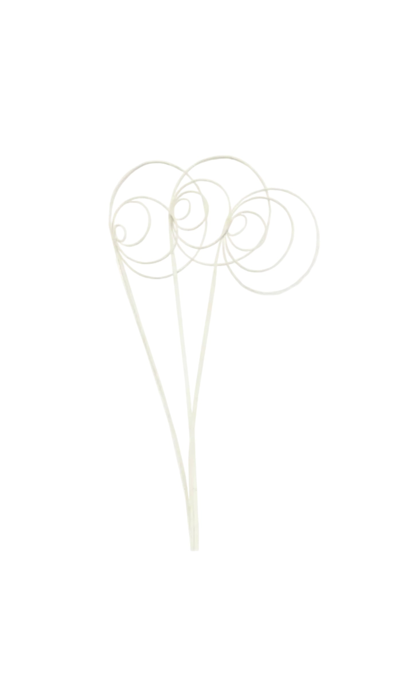 jumbo cane circles - 3 stem - white glitter