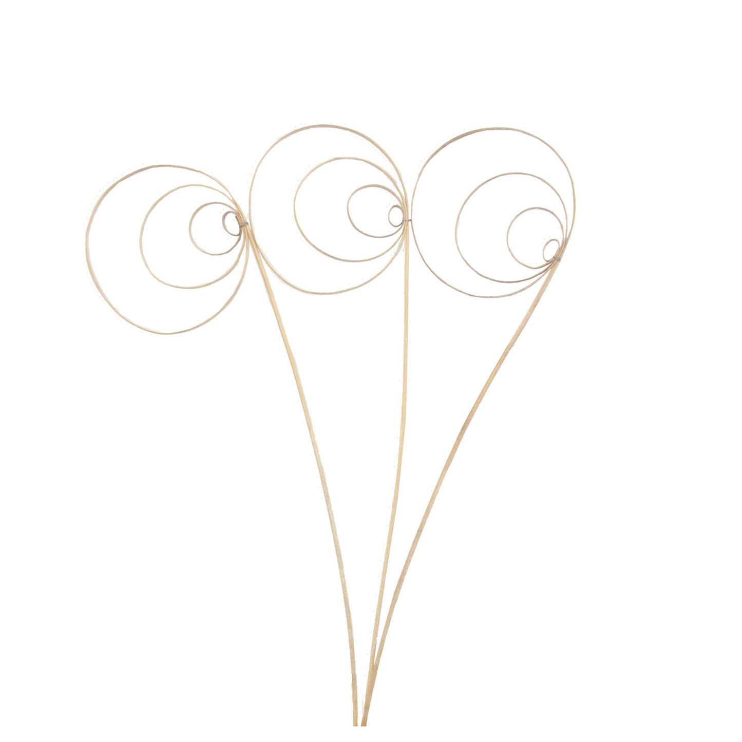 jumbo cane circles - frosted - bulk - 150/case