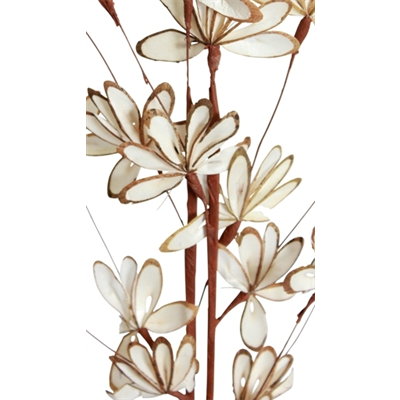 balsa sunburst - white/natural