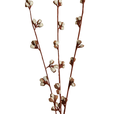 balsa clover - brown/natural