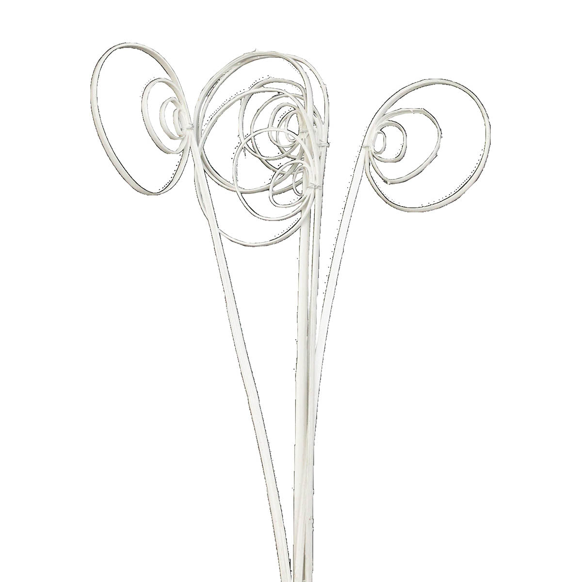 cane circles - white on white - bulk - 300/case