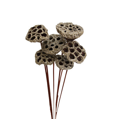 lotus pods - stem - champagne glitter - bulk - 125/case