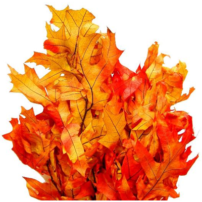 oak leaves - 4 oz - autumn