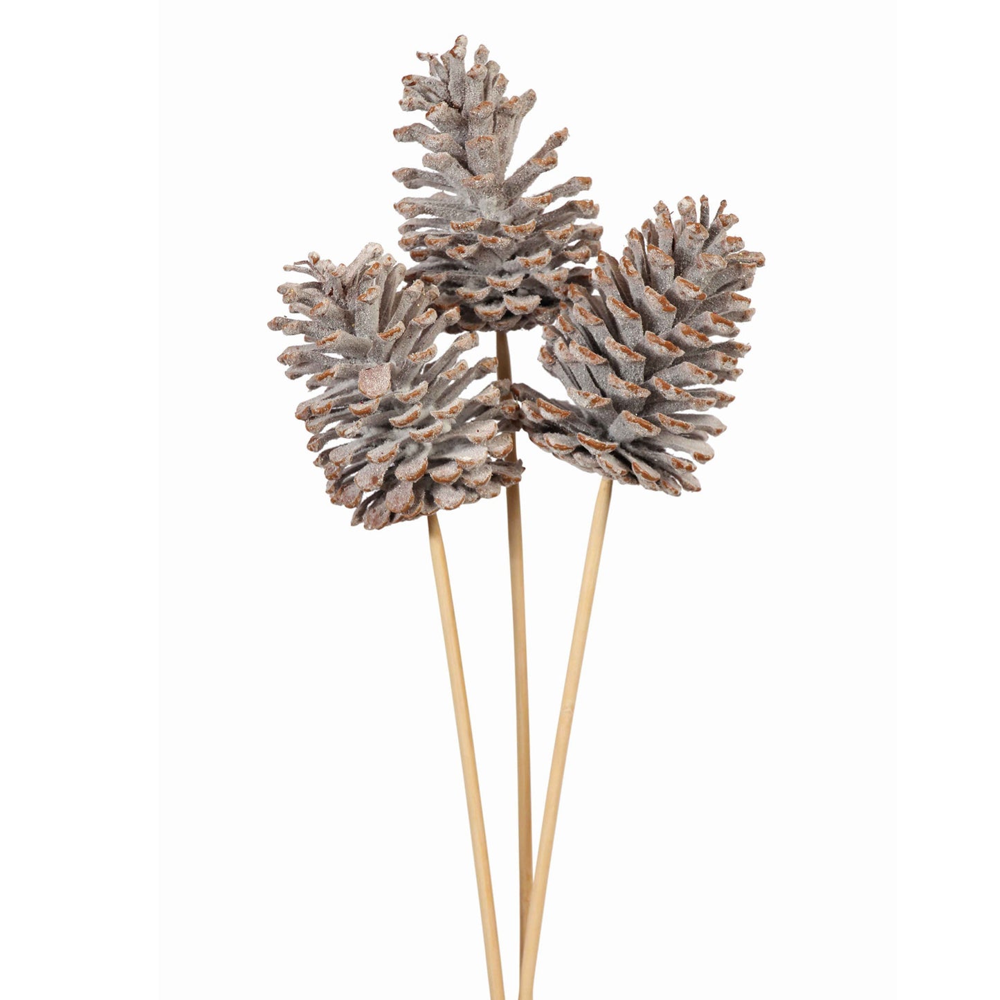 pine cones large - 3 stem - snow