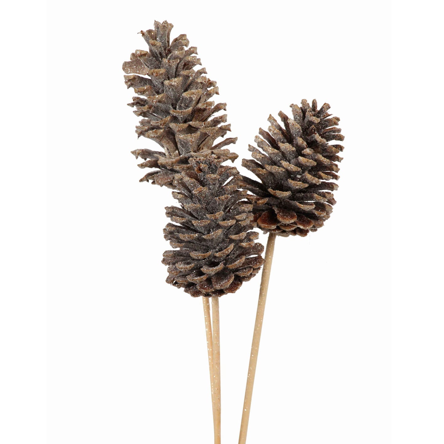 pine cones large - 3 stem - frosted