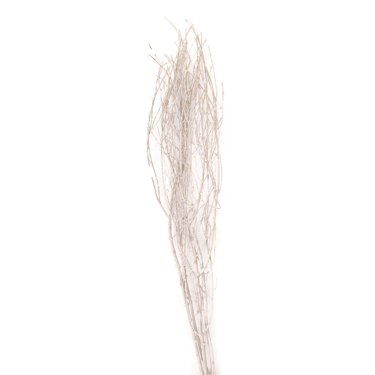 jay branches - 36in - white wash