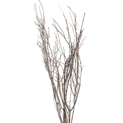 jay branches - frosted - bulk - 200/case