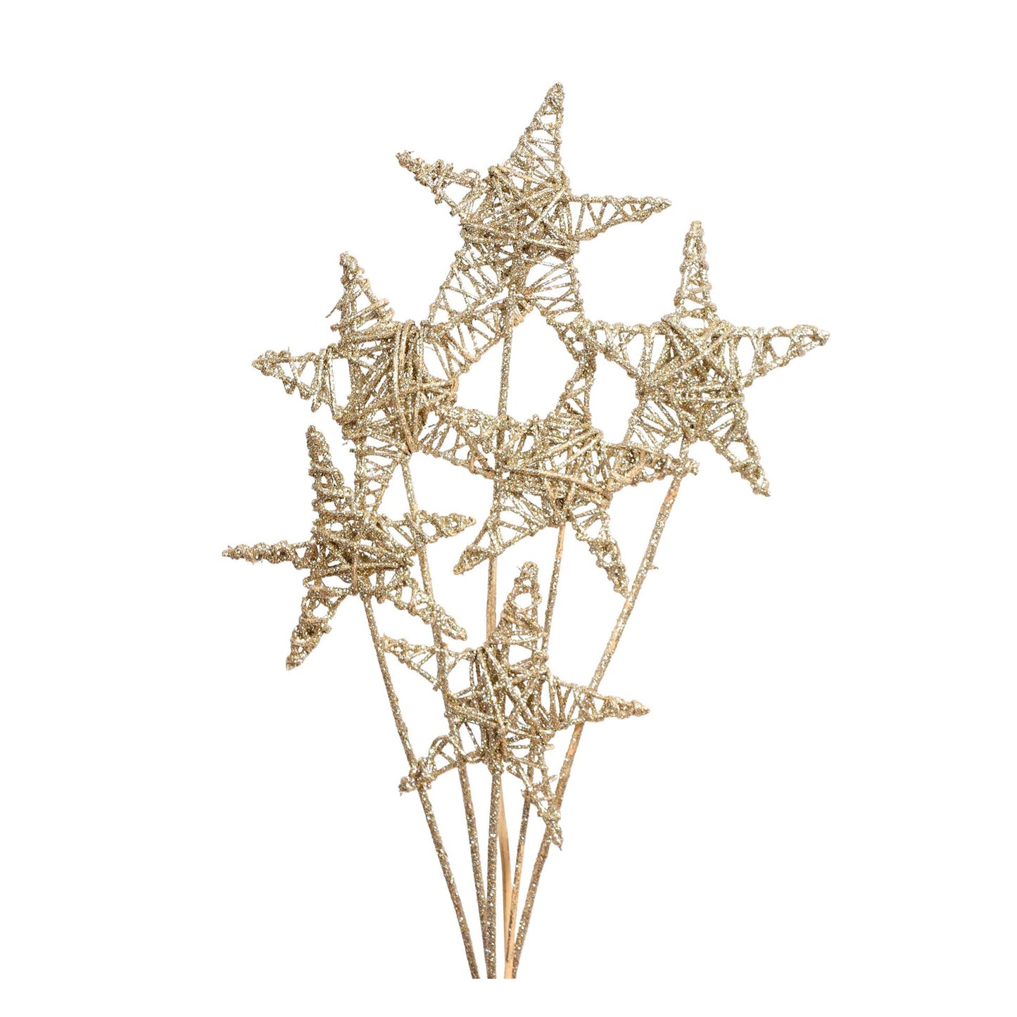 lata star 15cm (6 stem) champagne glitter