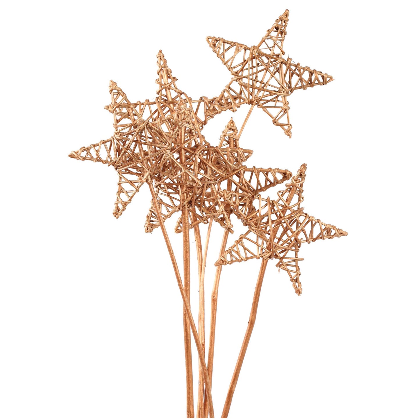 lata star 15 cm (6 stem) copper metallic