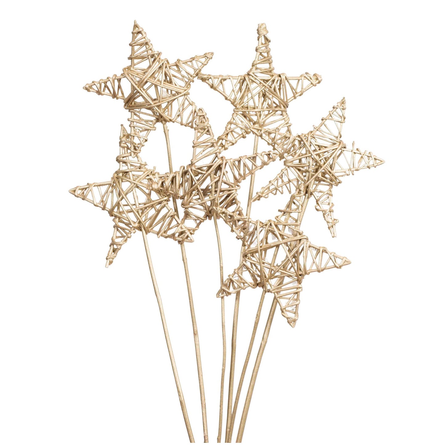 lata star 15 cm - champagne metallic - bulk - 100/case