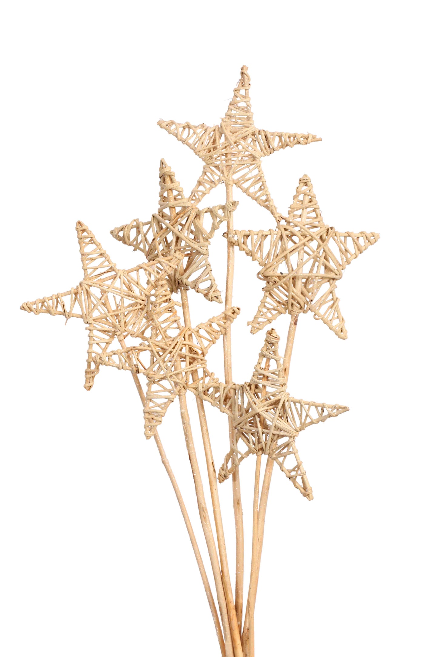 lata star 15 cm - frosted - bulk - 100/case