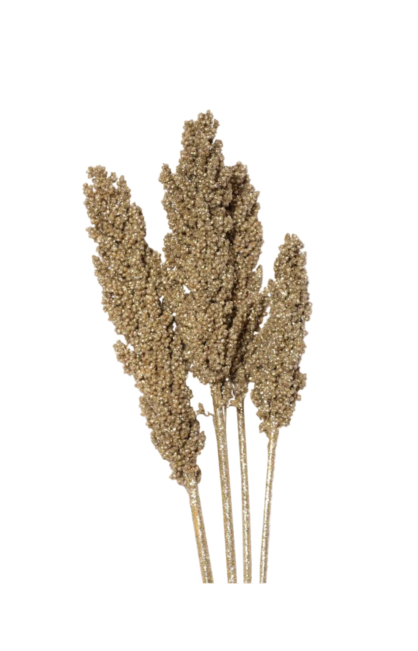 milo - 3-4 stem - gold glitter