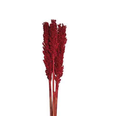 milo - red - bulk - 125/case