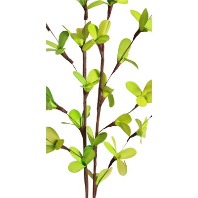 blossom branches (2 stem) spring green