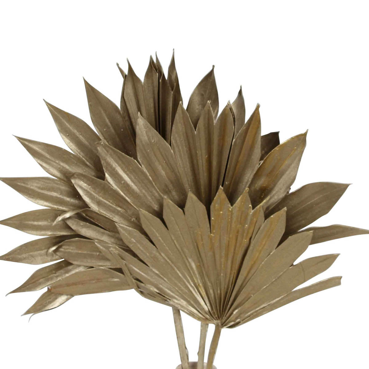 palm leave - sun cut - champagne metallic - 3 stem