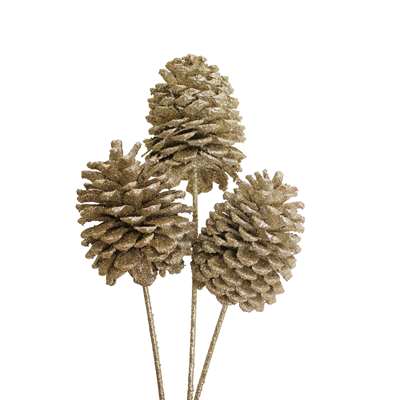 jeffrey pine cones x-large - 3 stem - champagne glitter