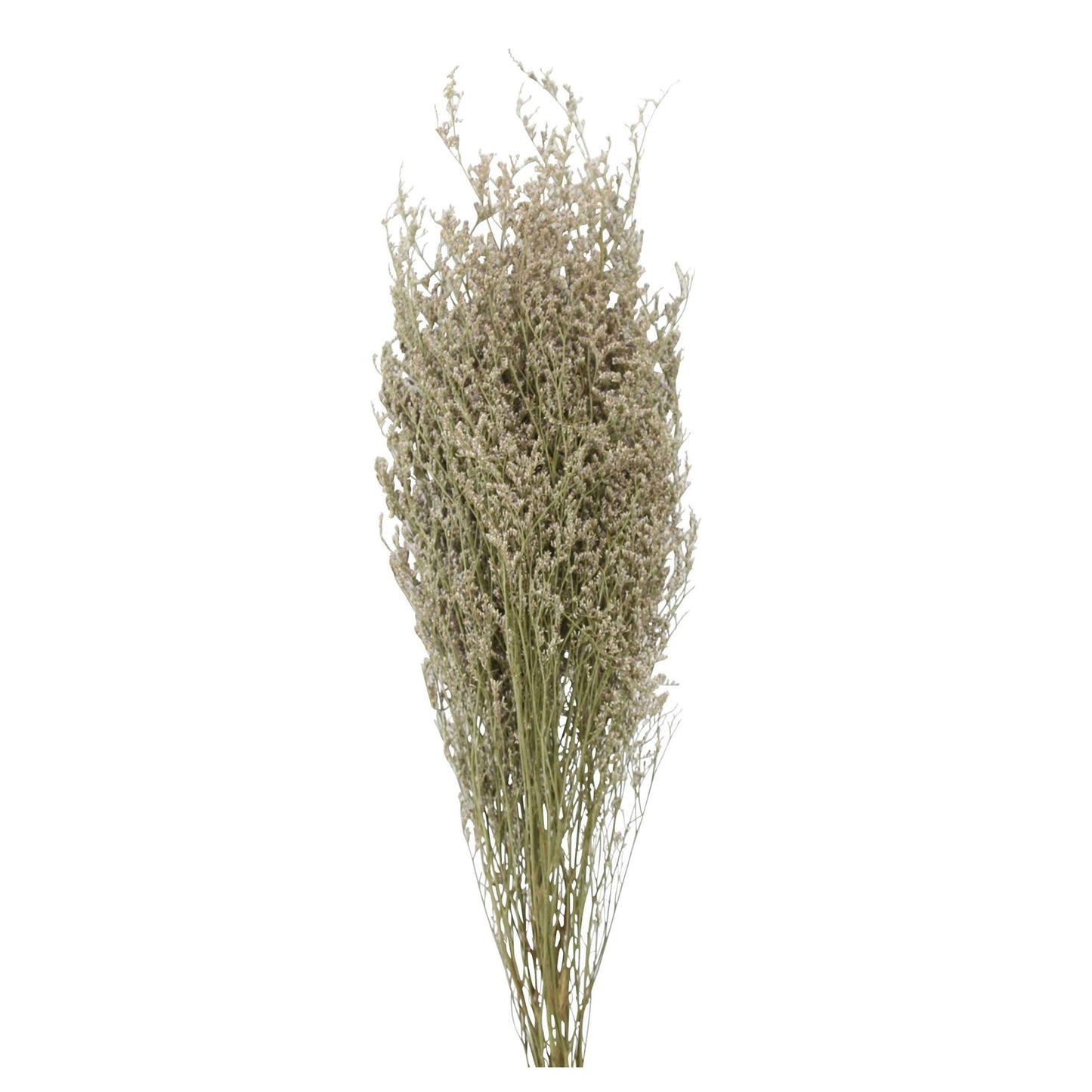 caspia - 2oz - natural