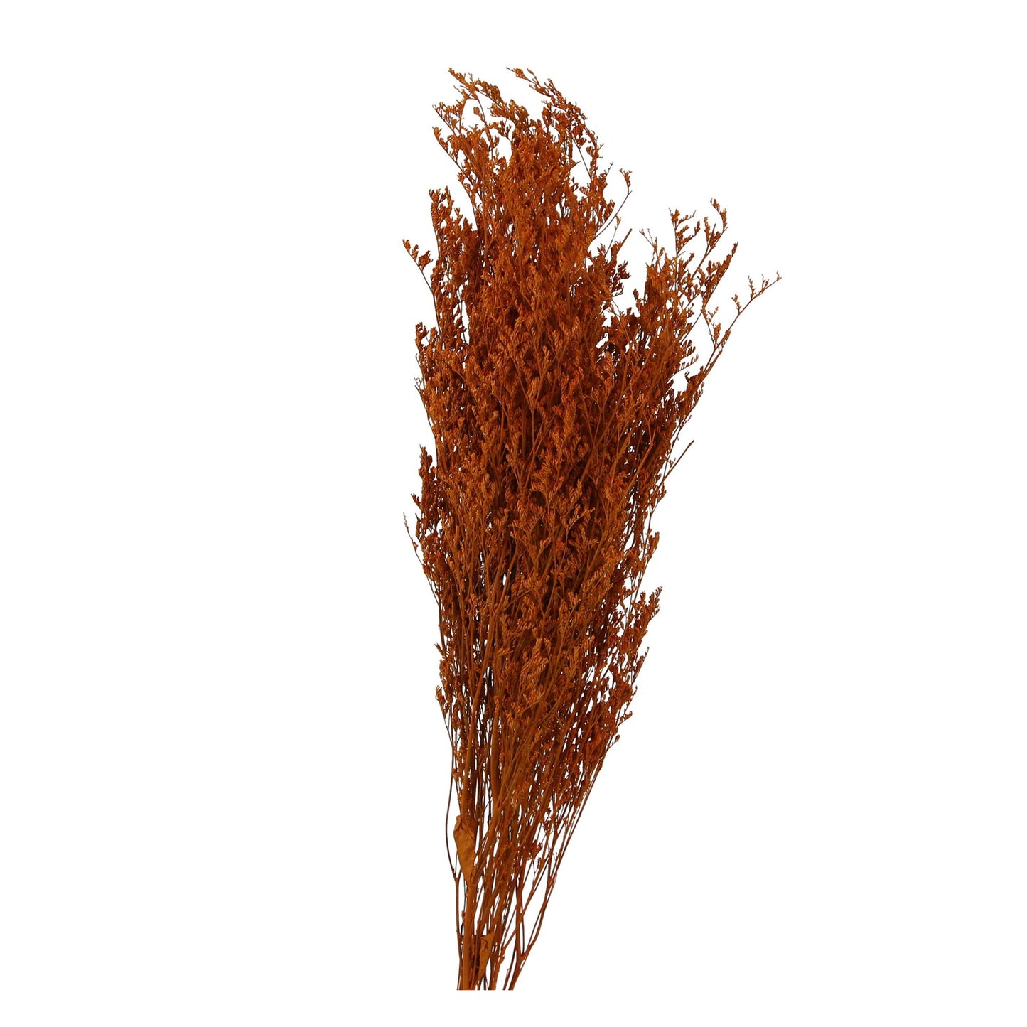 caspia - 2oz - yellow