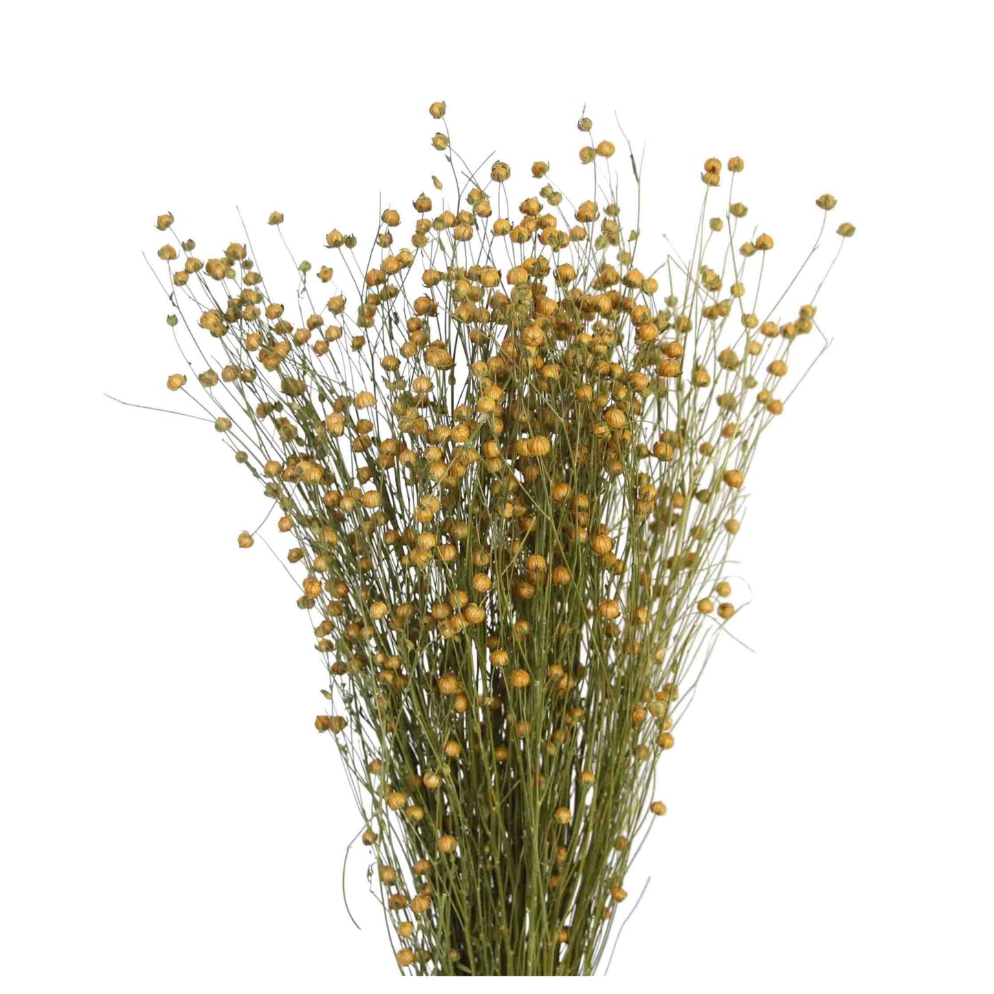 flax - 4oz - natural