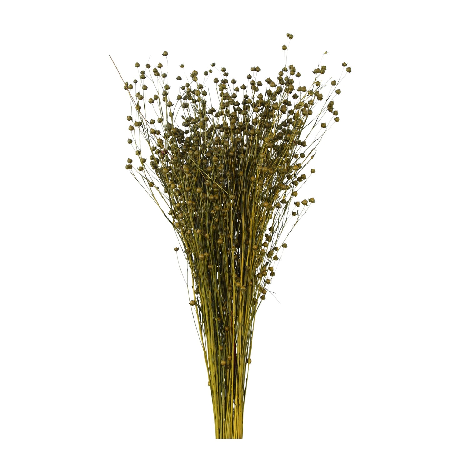 flax - 4oz - moss green