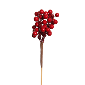 berry pick - cranberry cluster - red