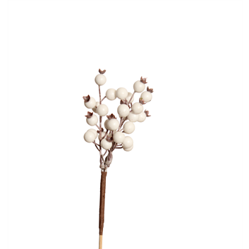 berry pick - huckleberry cluster - white