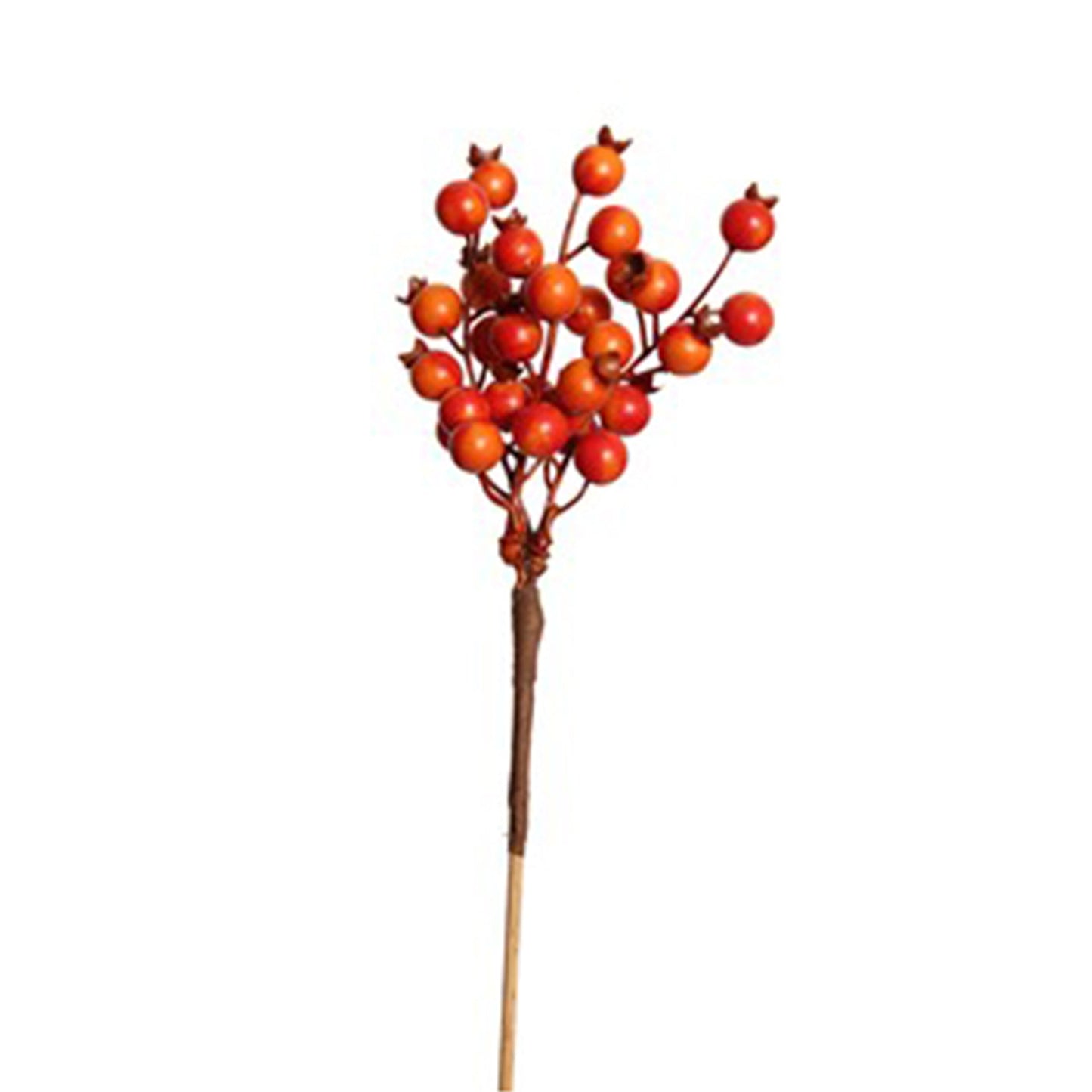 berry pick - huckleberry cluster - orange