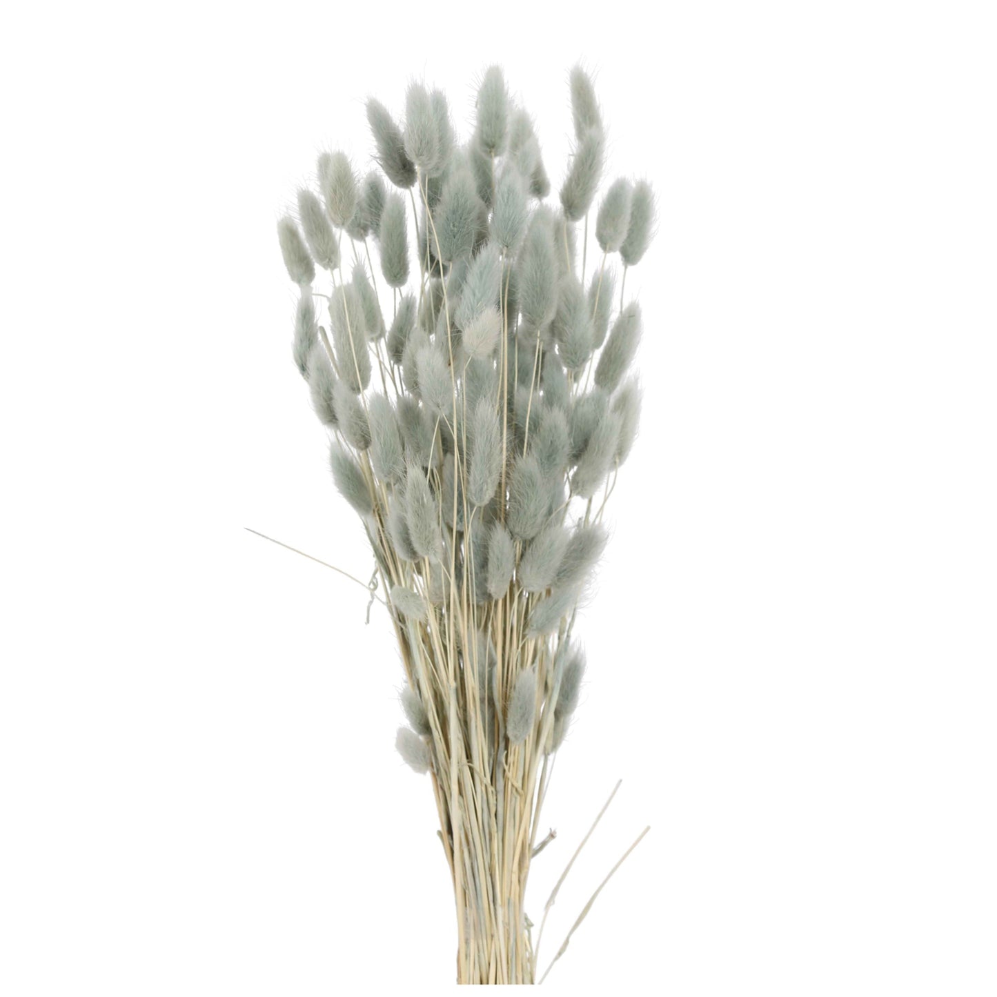 laguras - bunny tail blue 2 oz