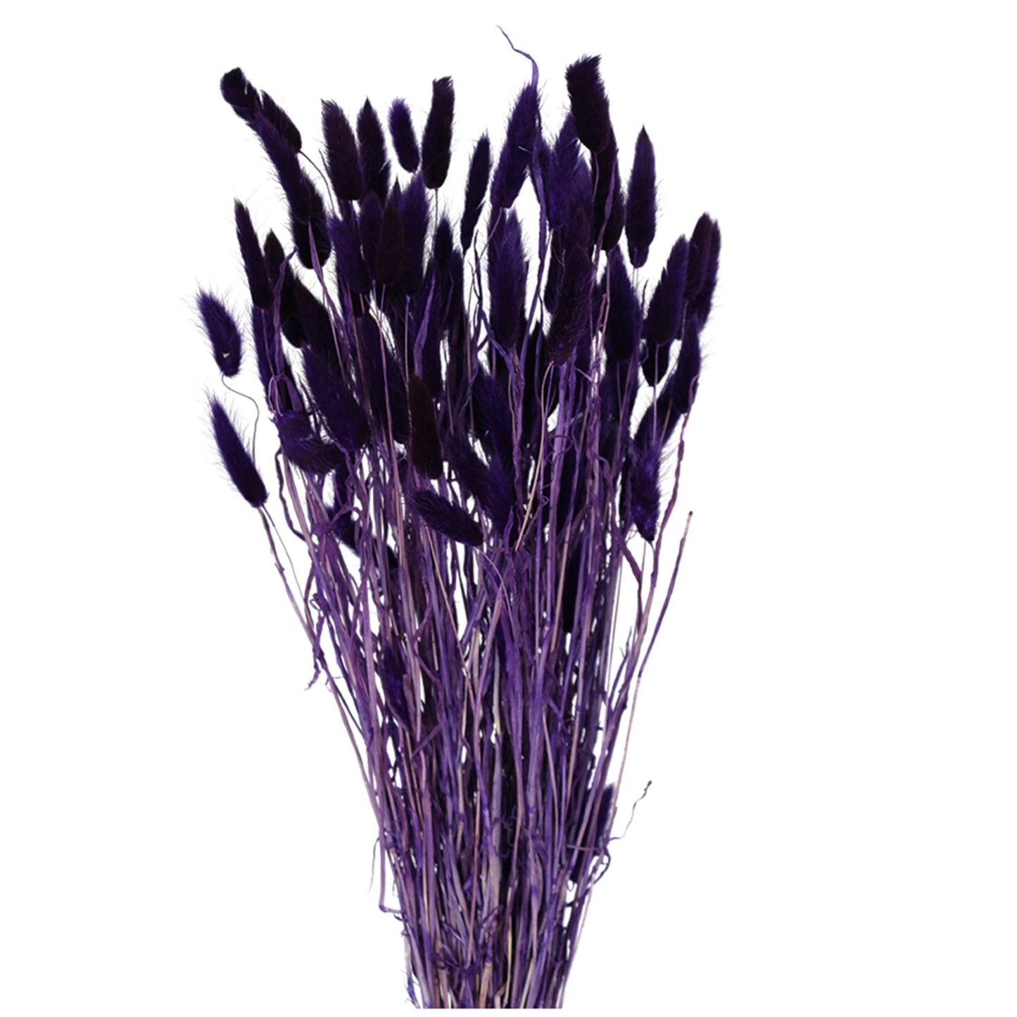 laguras - bunny tails purple 2 oz