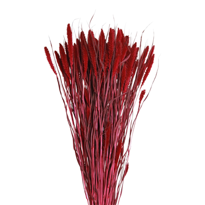 seteria - 4oz - red