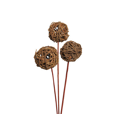 root ball 8cm on stem - natural - bulk - 150/case