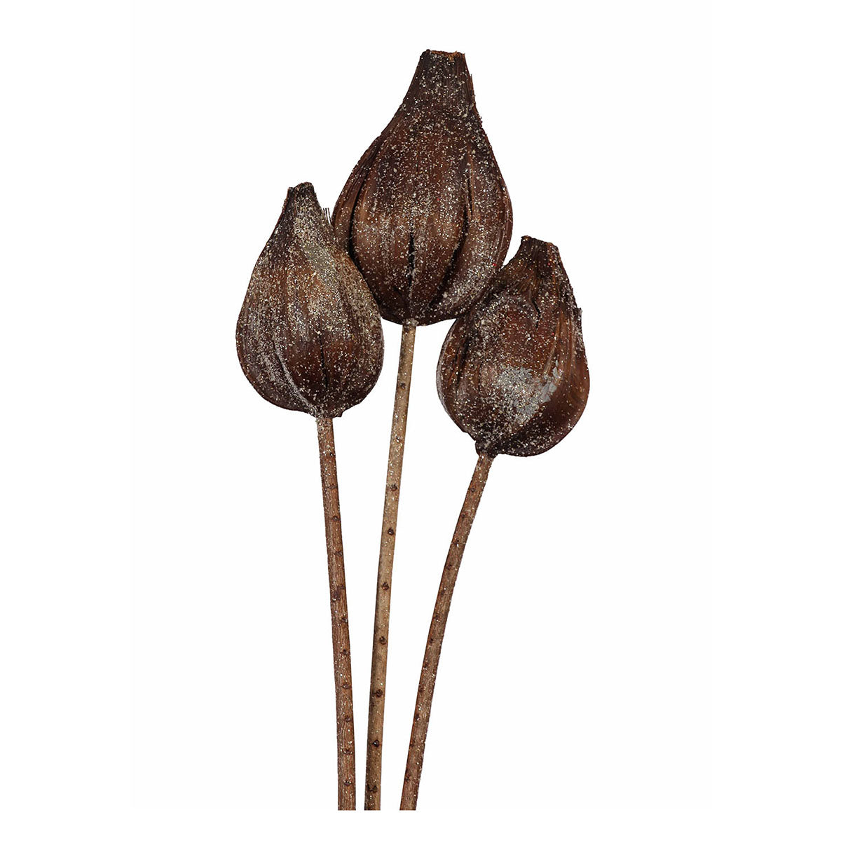 sakia pods - 3 stem - frosted glitter