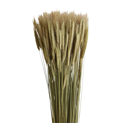 rye (6 oz) natural