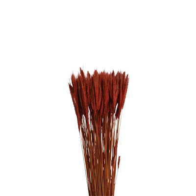rye (6 oz) mahogany