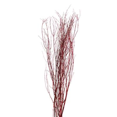 jay branches 48" (5-6 stem) red painted
