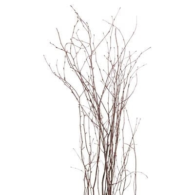 birch branches - natural - bulk - 100/case