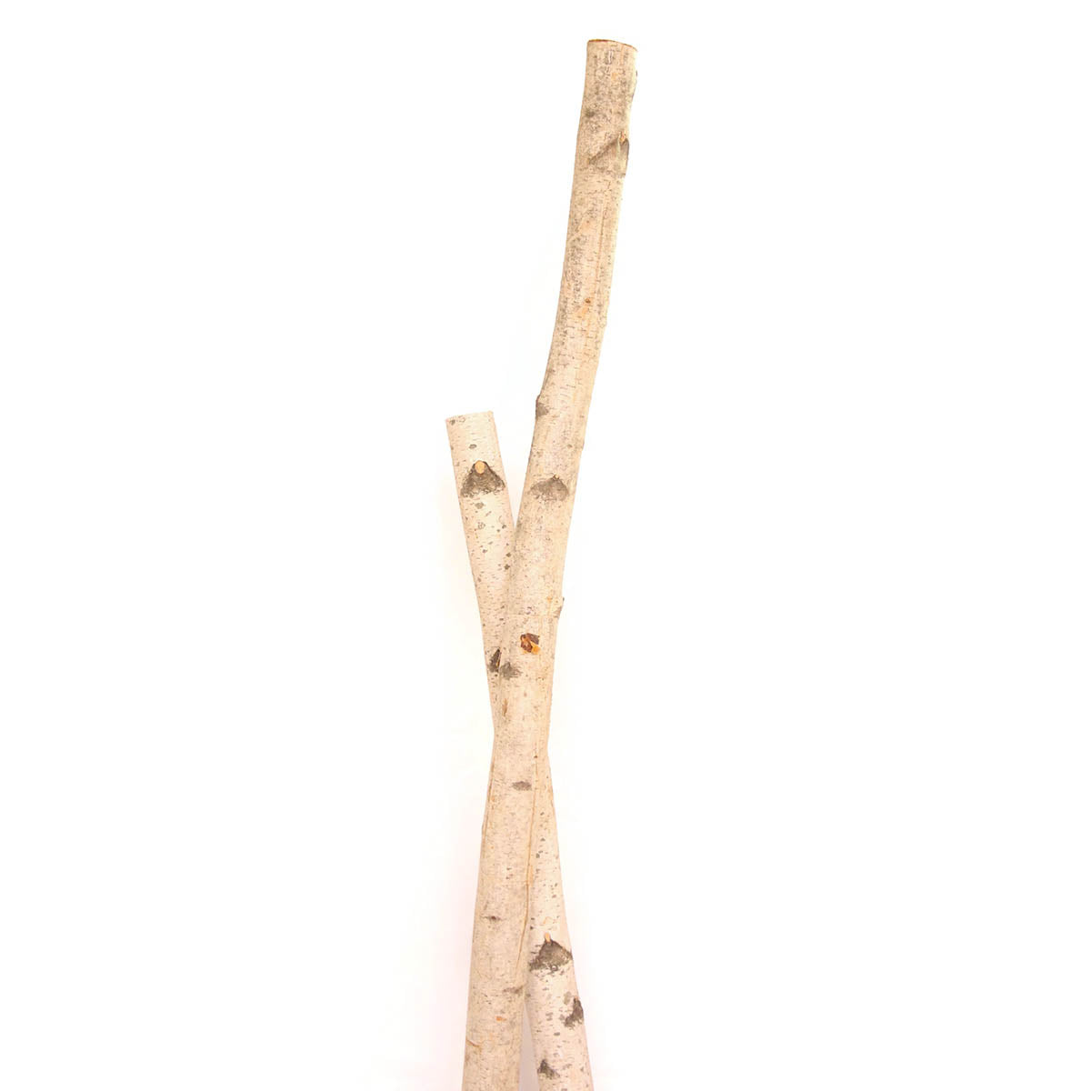 birch poles - 3ft - natural