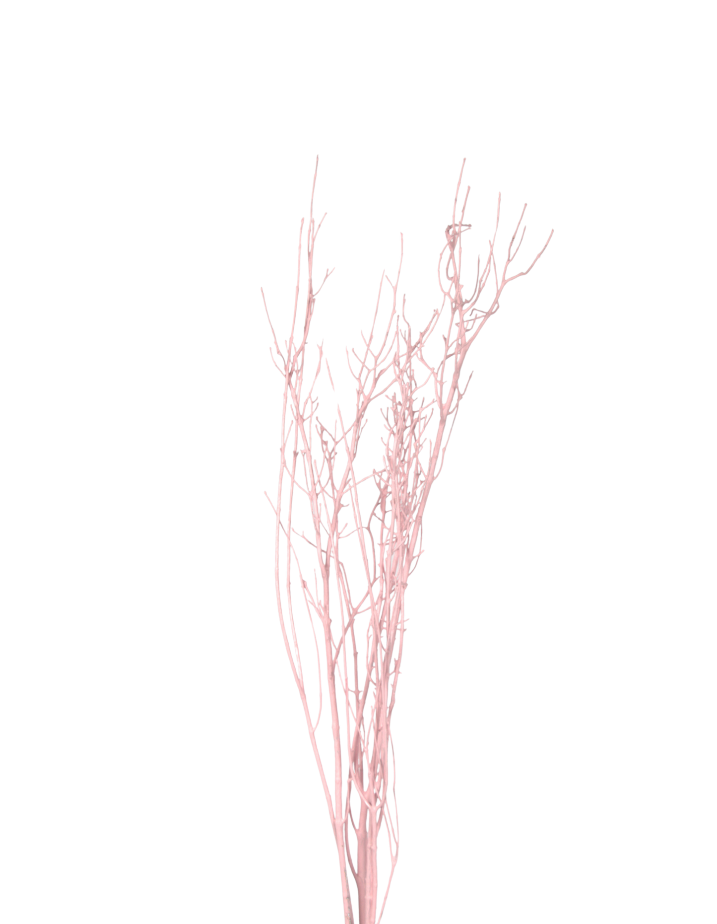 bamboo branches - pink paint