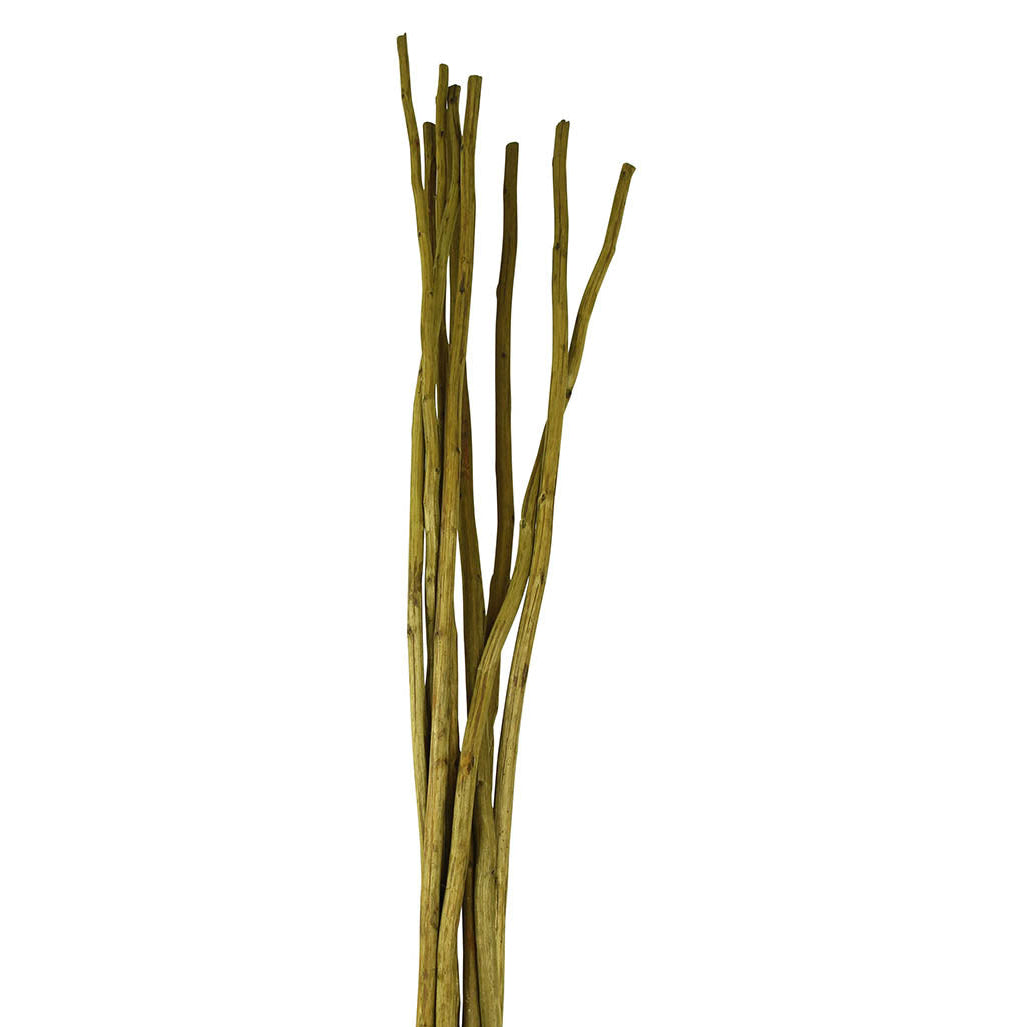 mitsui sticks - moss green