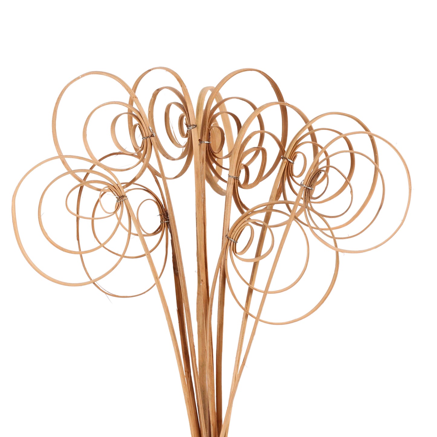 cane circles - 10 stem - natural