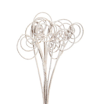 cane circles - 10 stem - snow