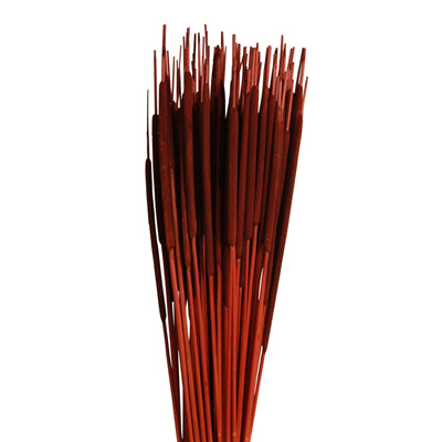 cattails pencil - mahogany - bulk - 1500/case
