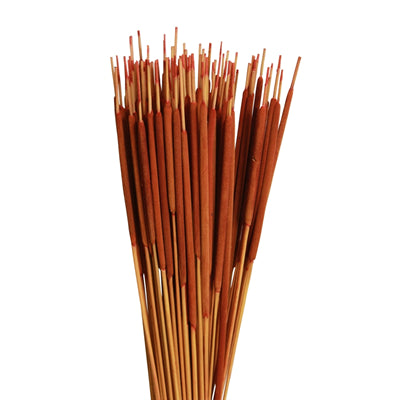 cattails pencil - orange - bulk - 1500/case