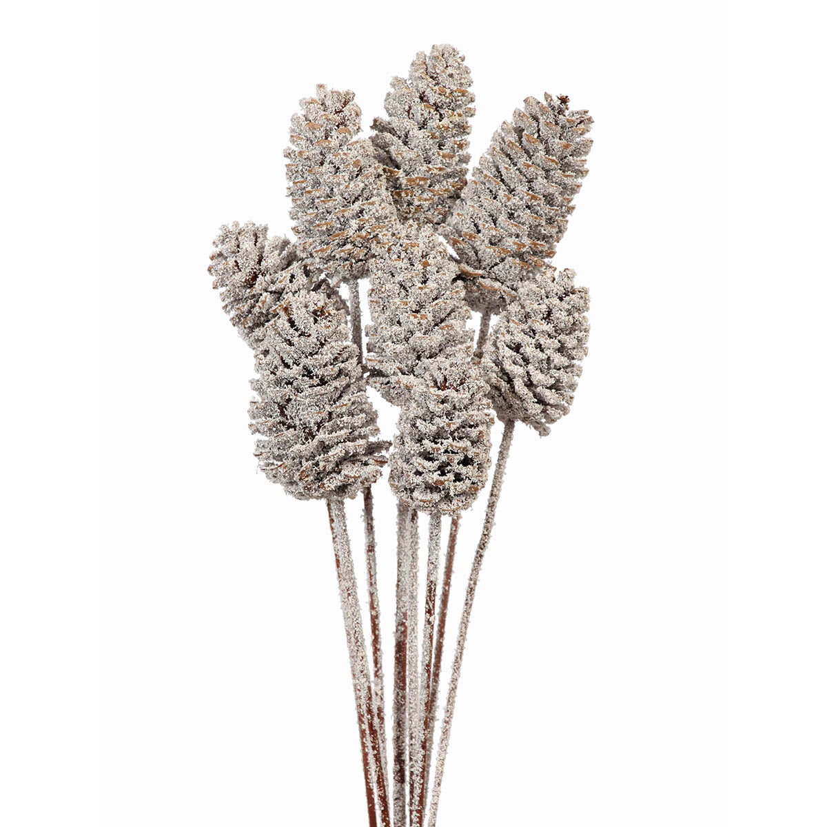 pine cones medium 7-10cm - stem - snow - bulk - 150/case